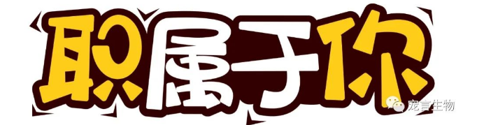 2203-6a9f155b-827a-4a81-b930-fbbfad0b9fe4.png